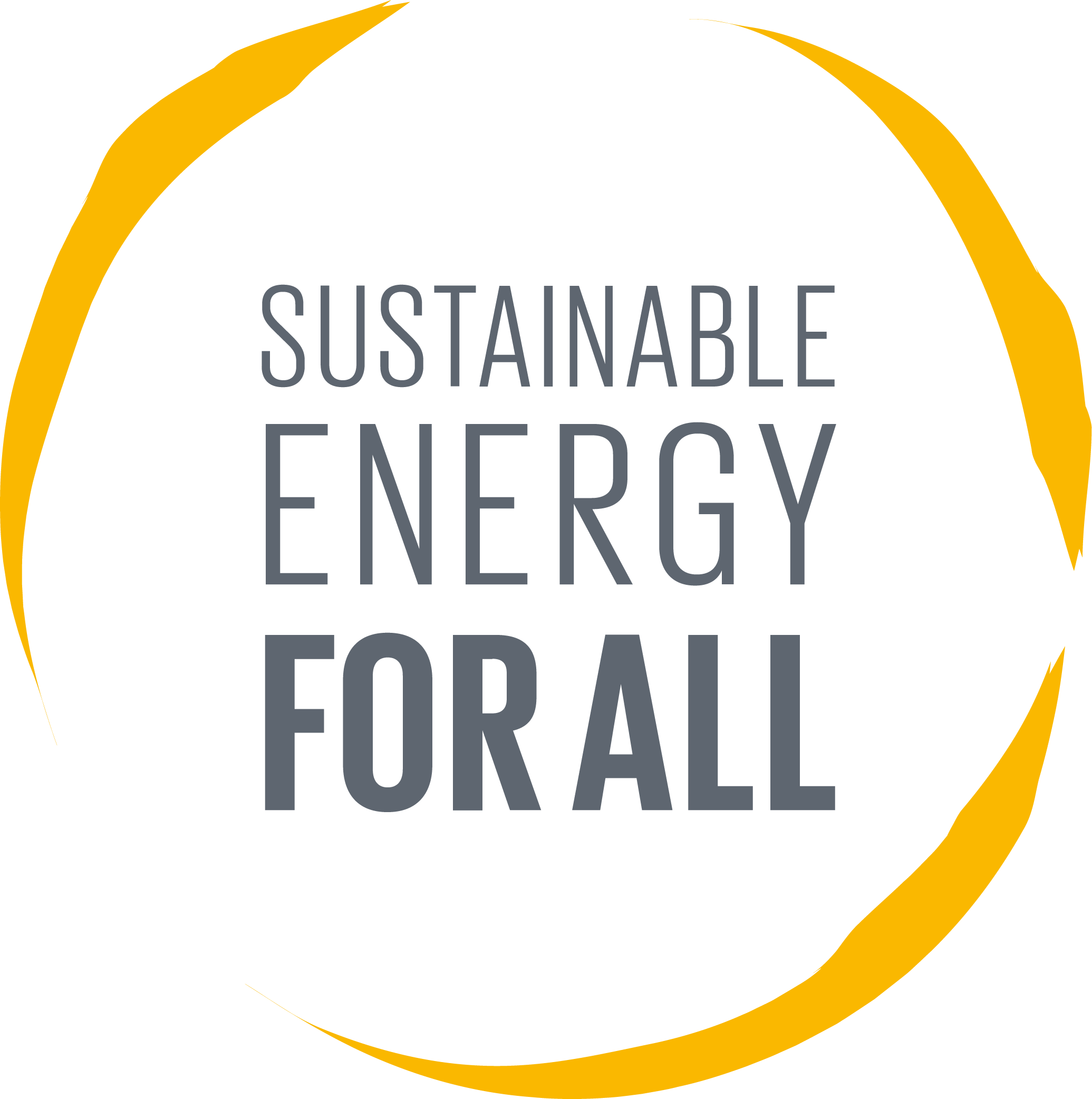Sustainable Energy for All (SEforALL)